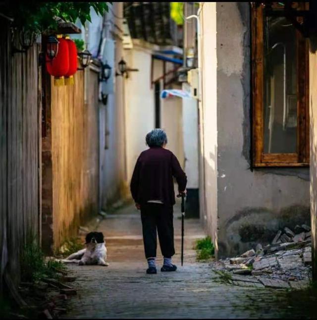 養老,是一場關乎經濟實力和人性的博弈(圖1) 養老,是一場關乎經濟實力和人性的博弈(圖1)